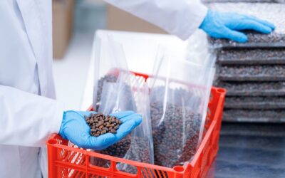 The Science Behind Flexible Food Packaging: How Polymers Protect Freshness