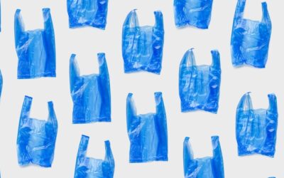 Poly Bag vs. Plastic Bag: Choosing the Right Option for Your Business
