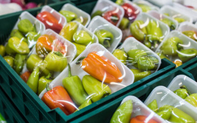 What Is Polyethylene Flexible Packaging for Food? Exploring Uses, Benefits, & Safety
